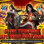 Pola Cashback Edukatif